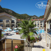 фото из отзыва ID 2039695