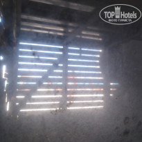 фото из отзыва ID 2039729