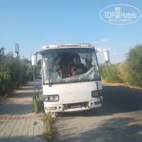 фото из отзыва ID 2039720