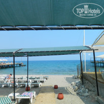 фото из отзыва ID 2039749