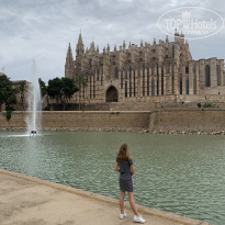 фото из отзыва ID 2039887