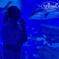 фото из отзыва ID 2039887