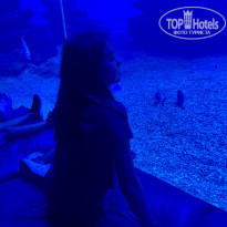 фото из отзыва ID 2039887