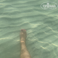 фото из отзыва ID 2039887