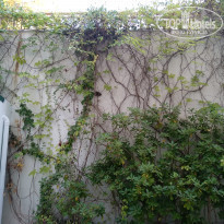 фото из отзыва ID 2039651