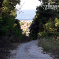 фото из отзыва ID 2036615