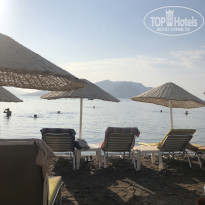 фото из отзыва ID 2039922