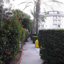 фото из отзыва ID 2039937