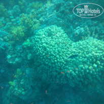 фото из отзыва ID 2039950