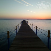 фото из отзыва ID 2039997