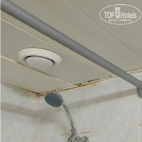 фото из отзыва ID 2039966