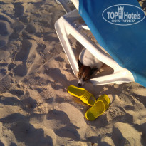 фото из отзыва ID 2038422