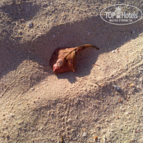 фото из отзыва ID 2038422