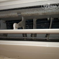 фото из отзыва ID 2039195