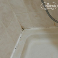 фото из отзыва ID 2039195