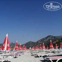 фото из отзыва ID 2037451