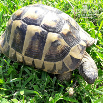 фото из отзыва ID 2036615