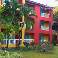 фото из отзыва ID 2038285