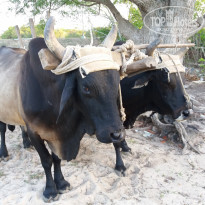 фото из отзыва ID 2038422