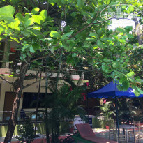 фото из отзыва ID 2032318