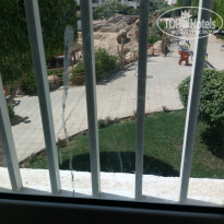 фото из отзыва ID 2033912