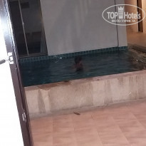 фото из отзыва ID 2037119