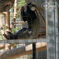 фото из отзыва ID 2038345