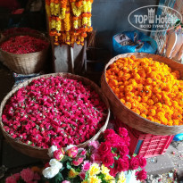 фото из отзыва ID 2035007