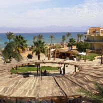 фото из отзыва ID 204080