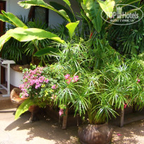 фото из отзыва ID 204383