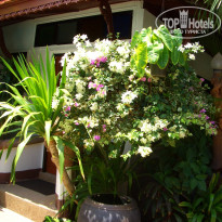 фото из отзыва ID 204383