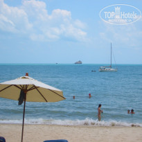 фото из отзыва ID 204383