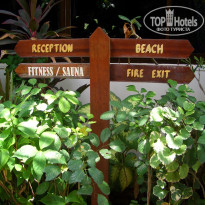 фото из отзыва ID 204383