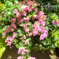 фото из отзыва ID 204383