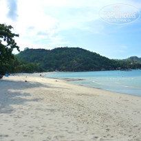 фото из отзыва ID 204557