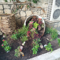 фото из отзыва ID 2040008