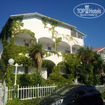 фото из отзыва ID 2040008