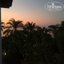 фото из отзыва ID 2040021