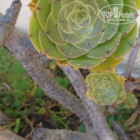 фото из отзыва ID 2040055