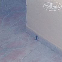 фото из отзыва ID 2040111