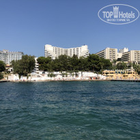 фото из отзыва ID 2040192