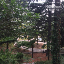 фото из отзыва ID 2040209