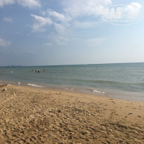 фото из отзыва ID 2040225