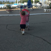 фото из отзыва ID 2040225