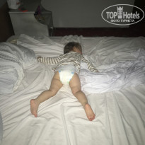 фото из отзыва ID 2040225