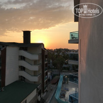 фото из отзыва ID 2040413