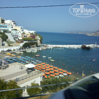 фото из отзыва ID 2040692