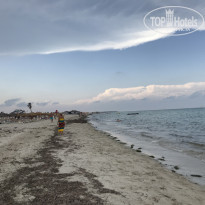 фото из отзыва ID 2040888