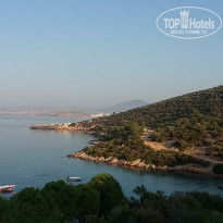 фото из отзыва ID 2040935