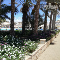 фото из отзыва ID 2040981